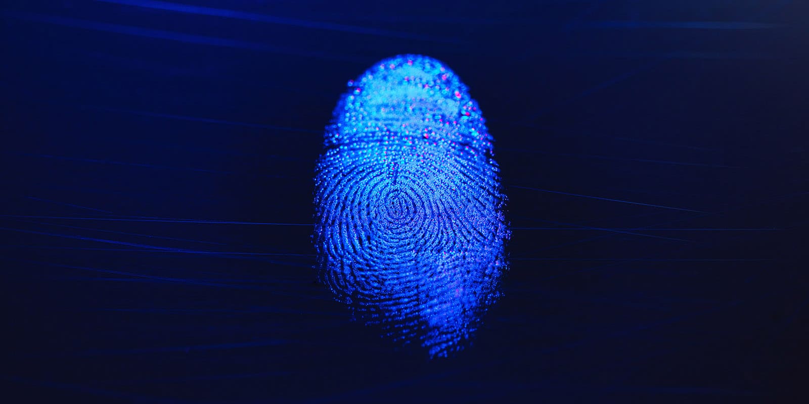 A blue fingerprint is shown on the screen.