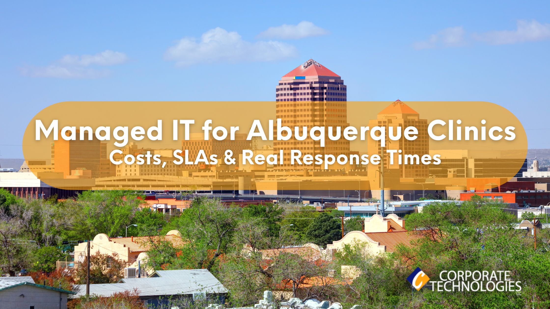 medical IT services Albuquerque