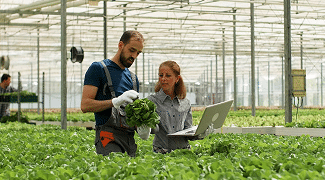 IT Solutions for Kansas Agriculture & AgTech