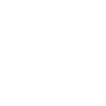 Cybersecurity in Elgin